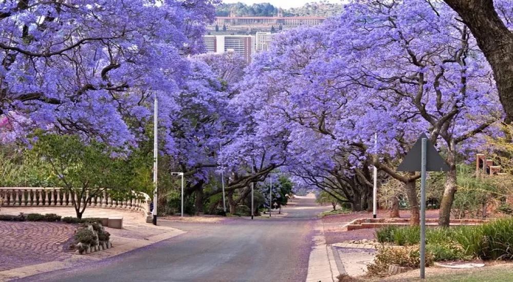 KUNYE in Pretoria